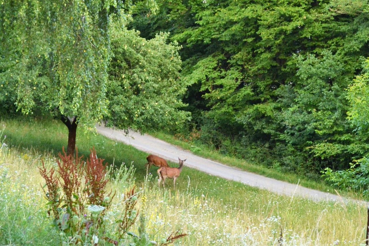 Chata Trubarka Trenčín Buitenkant foto